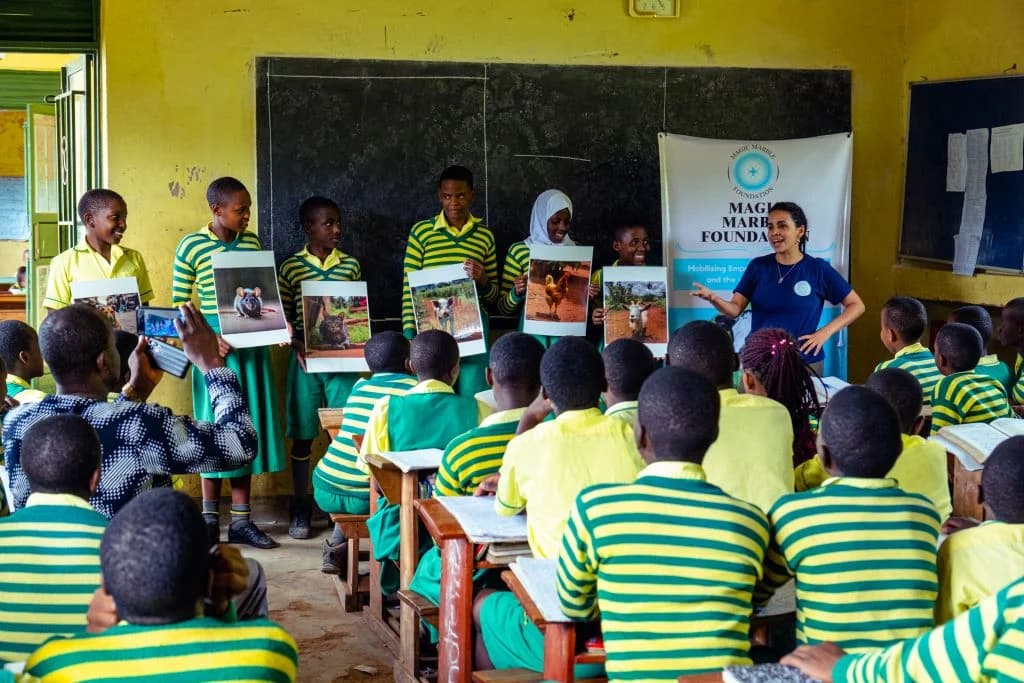 C.A.R.E Curriculum
